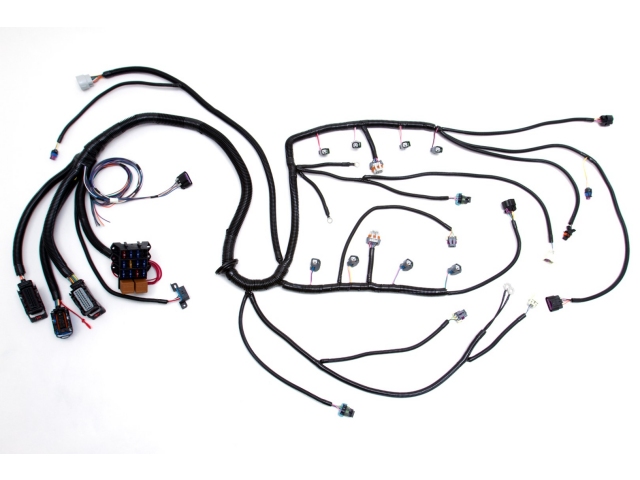 PSI Conversion LS Wiring Harness, 58X (2005-2007 GM LS2 w/ 4L60E)